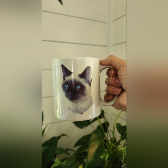 Siamese Cat - Picture 2 of 6